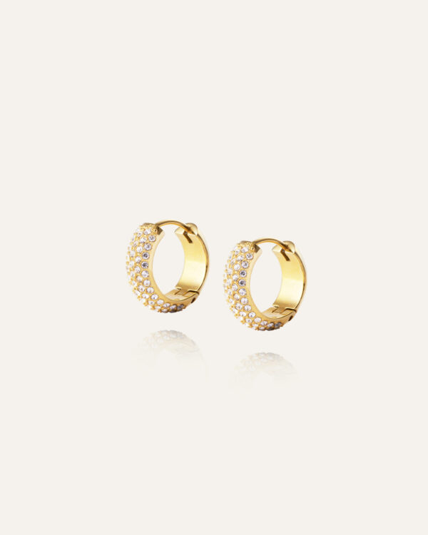 Amour Hoops