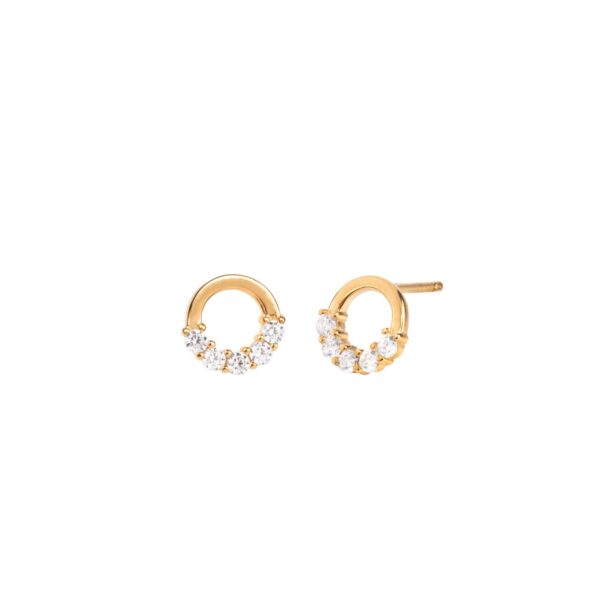 Circles zircons earrings
