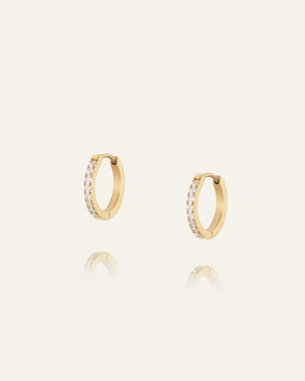 Shiny Hoops