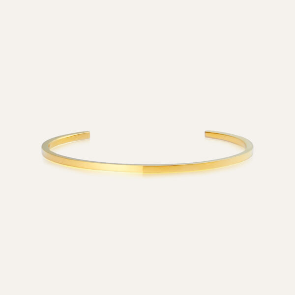 Sleek Bangle