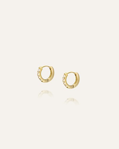 Shiny Mini Hoops