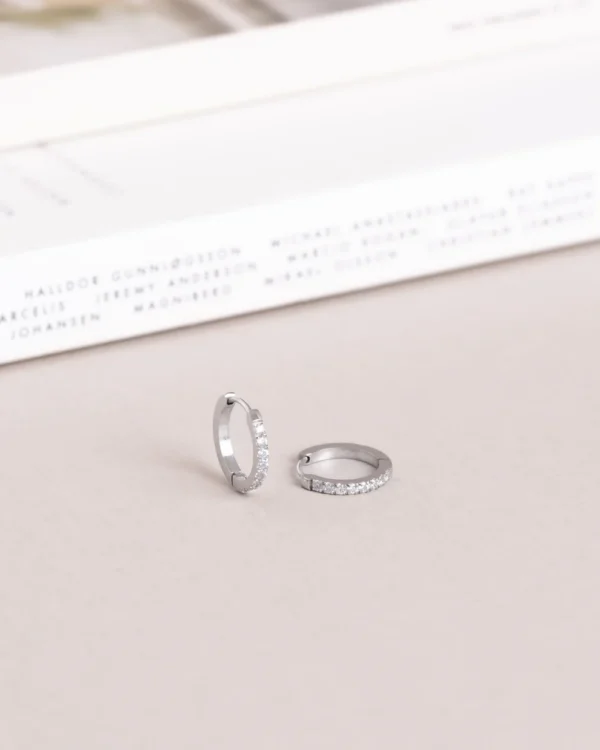 Shiny Hoops - Bild 3