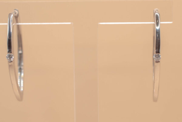 Örhänge med zirgon sten