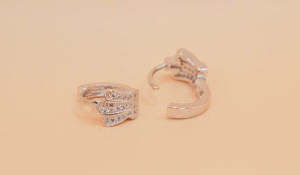 Ring örhänge