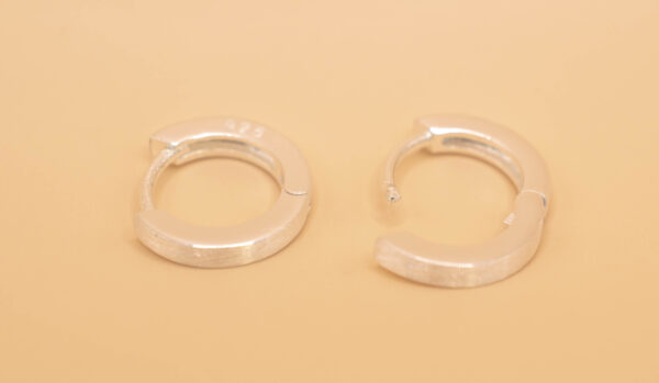 Ring örhänge