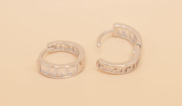 Ring örhänge