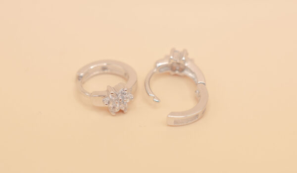 Ring örhänge