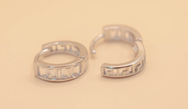 Ring örhänge