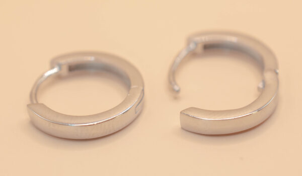 Ring örhänge