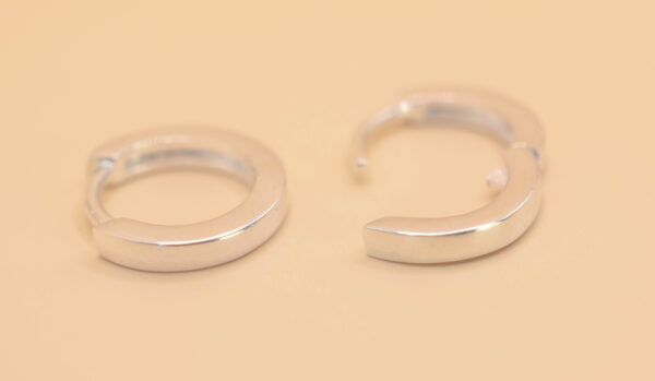 Ring örhänge