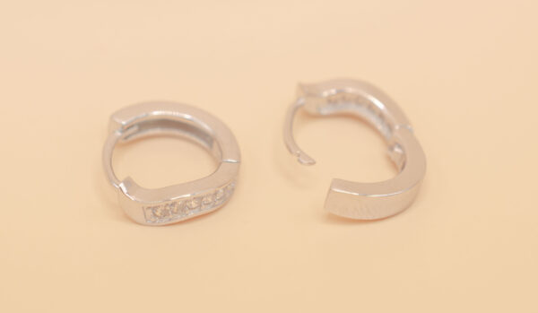 Ring örhänge