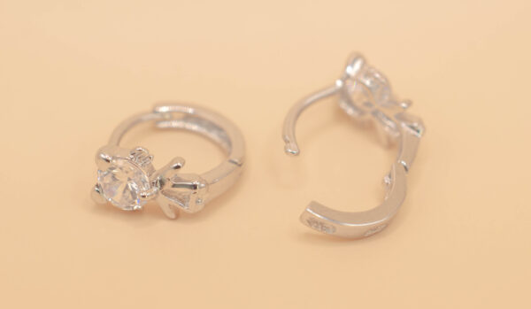 Ring örhänge