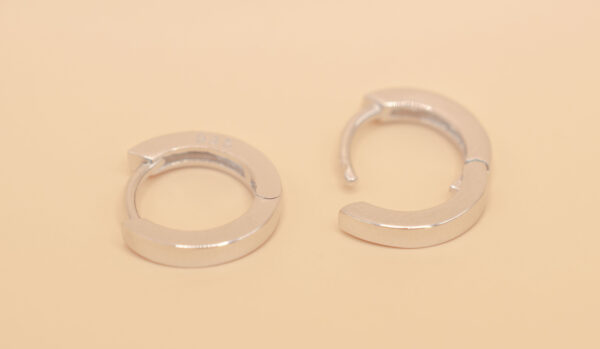 Ring örhänge