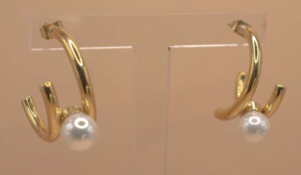 Guldfärgad Örhängen