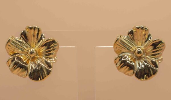 Guldfärgad Örhängen