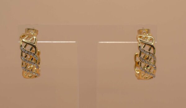 Guldfärgad Örhängen