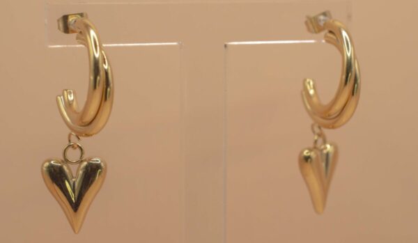 Guldfärgad Örhängen