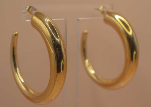 Guldfärgad Örhängen