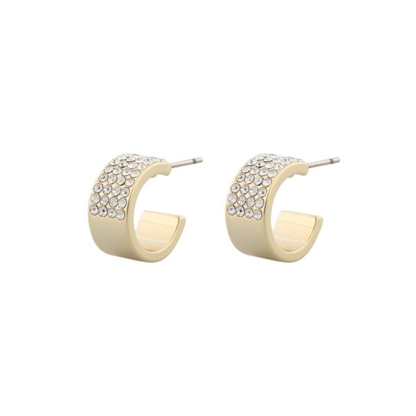 Carrie small ring ear g/clear - Onesize