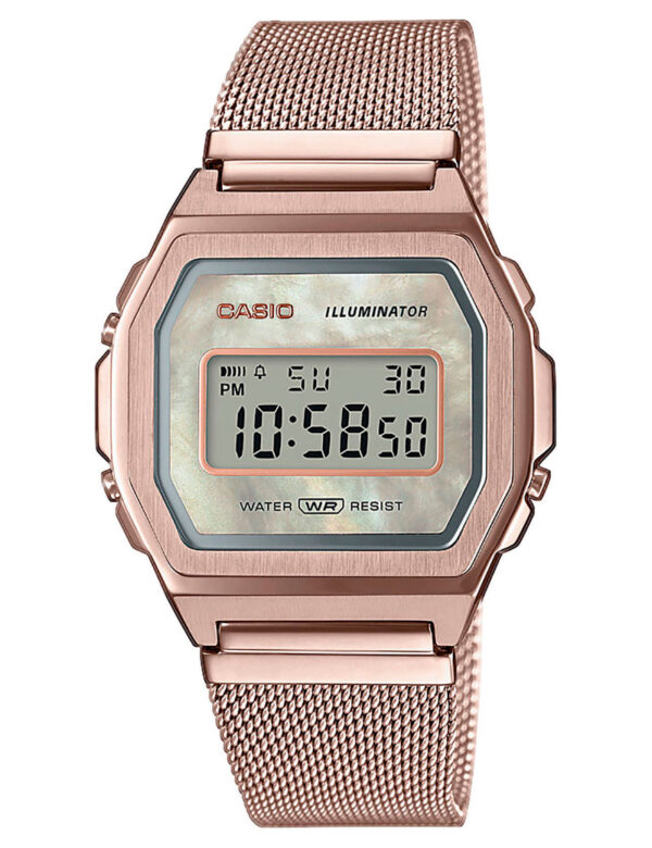CASIO VINTAGE (3479)_Basic