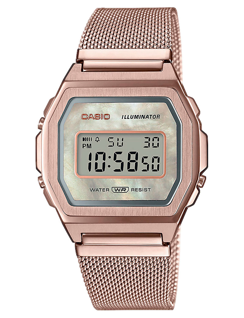 CASIO VINTAGE (3479)_Basic