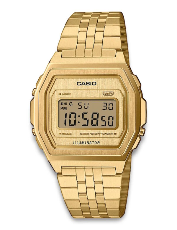 CASIO VINTAGE (3479)_Basic