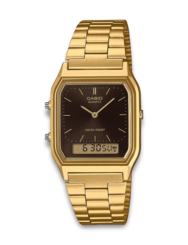 CASIO VINTAGE (1301)_Basic