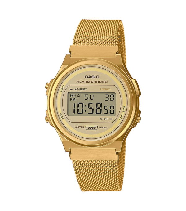 CASIO VINTAGE (593)_Basic [CAS079]