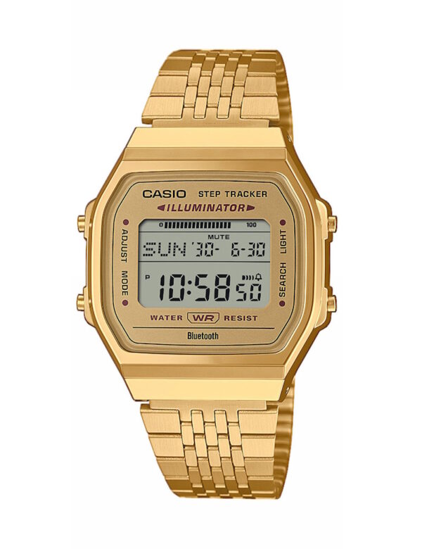 CASIO VINTAGE (3565)_Basic