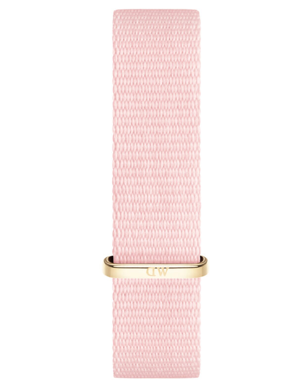 DANIEL WELLINGTON REM Petite 14mm Rosewater GOLD