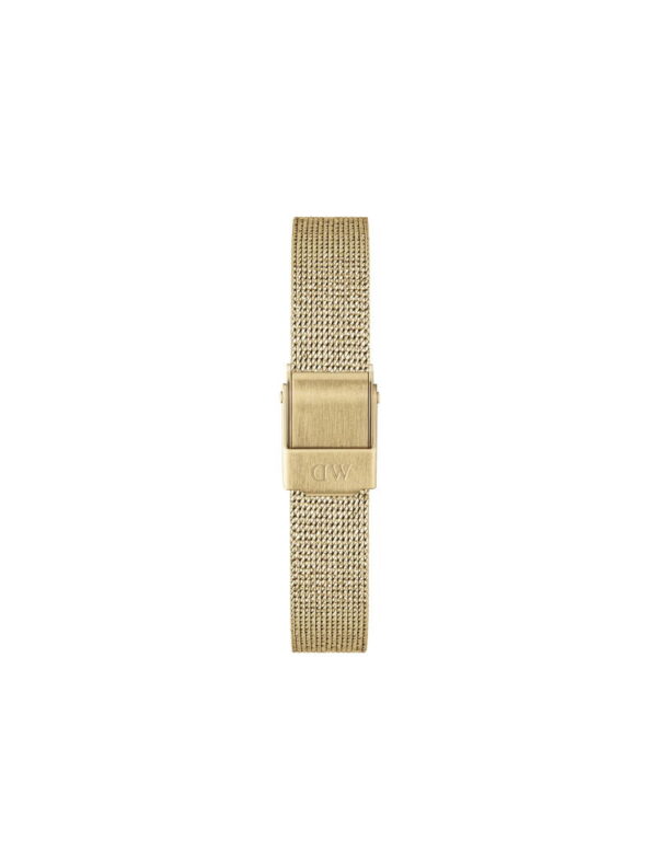 DANIEL WELLINGTON REM Quadro/Petite Evergold Gold 10mm