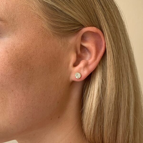 Pi stone ear 6mm g/clear - Onesize