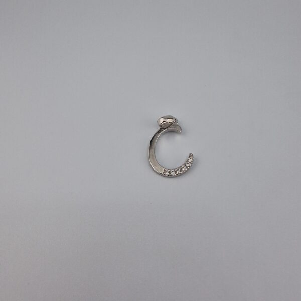 Bokstav hänge C med zirgon