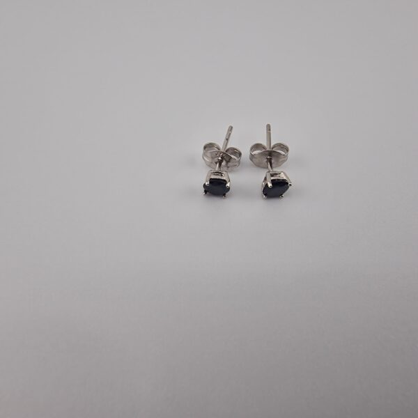 Örhänge med svarta sten