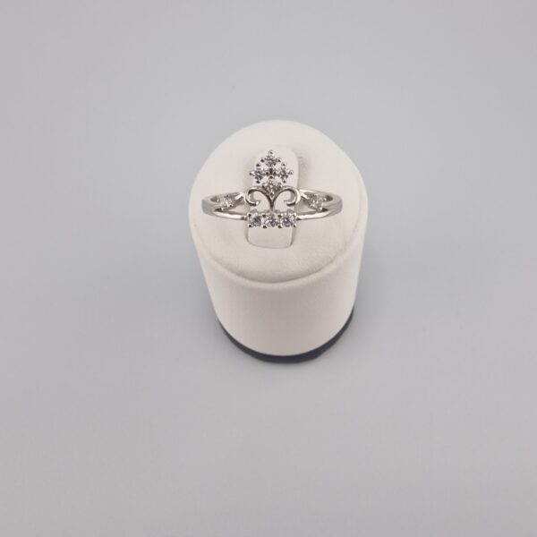 Damring med Zirkonsten